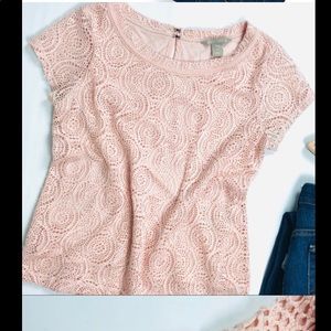 Banana republic baby pink adorable shirt size M petite!